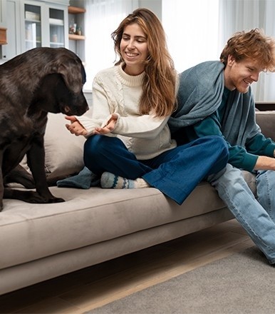 Is Your Home Making Your Dog Sick? Hidden Dangers of Indoor Living